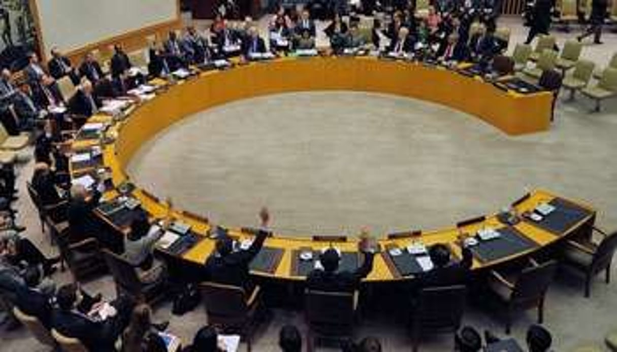 Le Conseil de sécurité des Nations unies lors d’un vote, le 7 mars 2013 à New York. © AFP