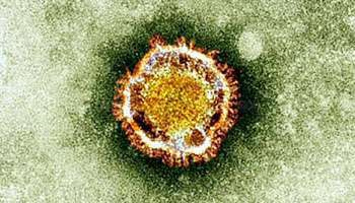 Le coronavirus vu au microscope. © AFP