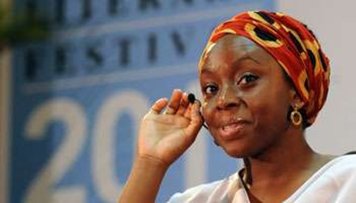 Chimamanda Ngozi Adichie © AFP