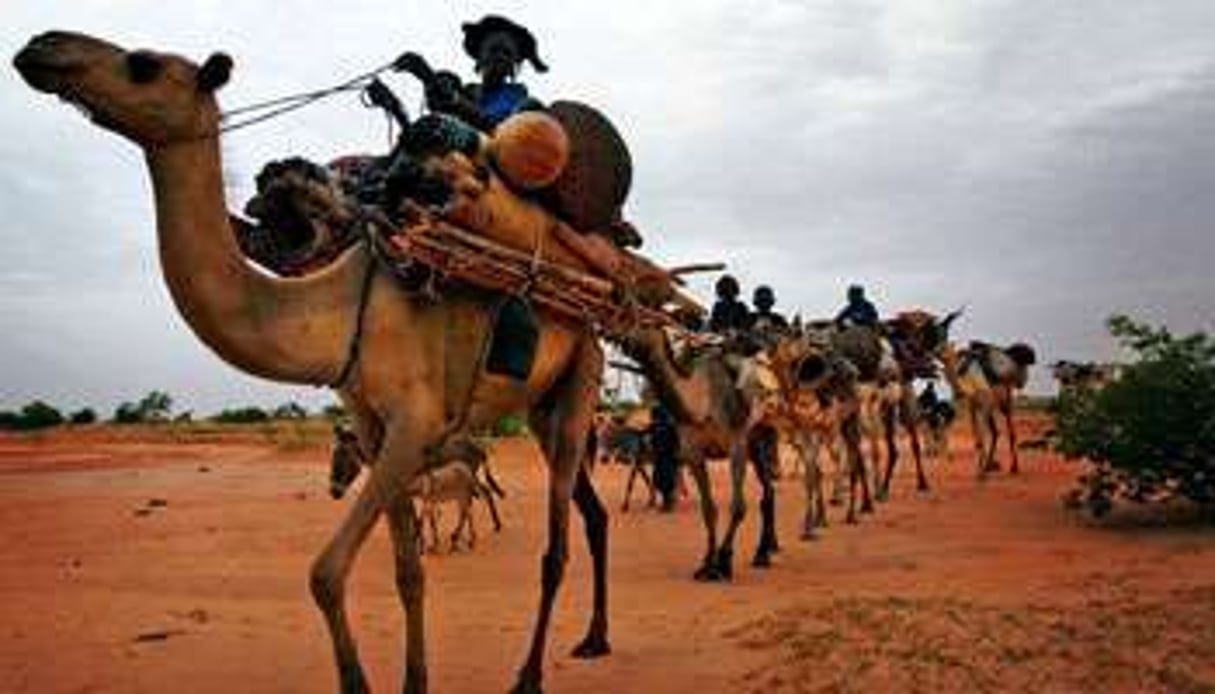 Les quelques rebelles touaregs du Niger ne bénéficient pas du soutien de la population. © DR