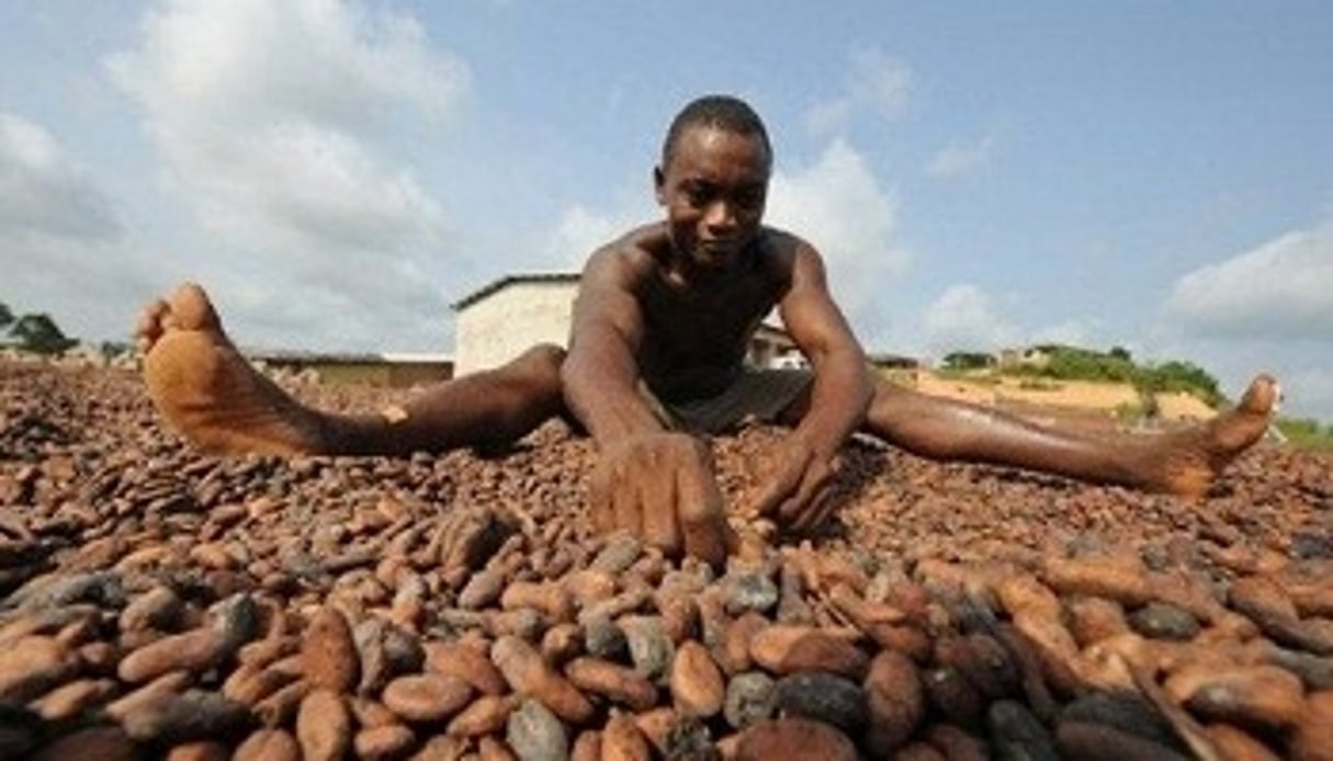 Avec une moyenne de 1,4 millions de tonnes par an, la Côte d’ivoire est le premier producteur de fèves de cacao. © Kambou Sia/AFP