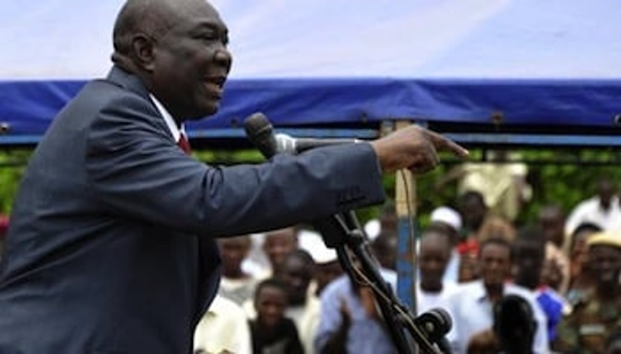 Le président centrafricain Michel Djotodia a annoncé un moratoire sur l’exploitation des diamants afin de moraliser le secteur. © AFP