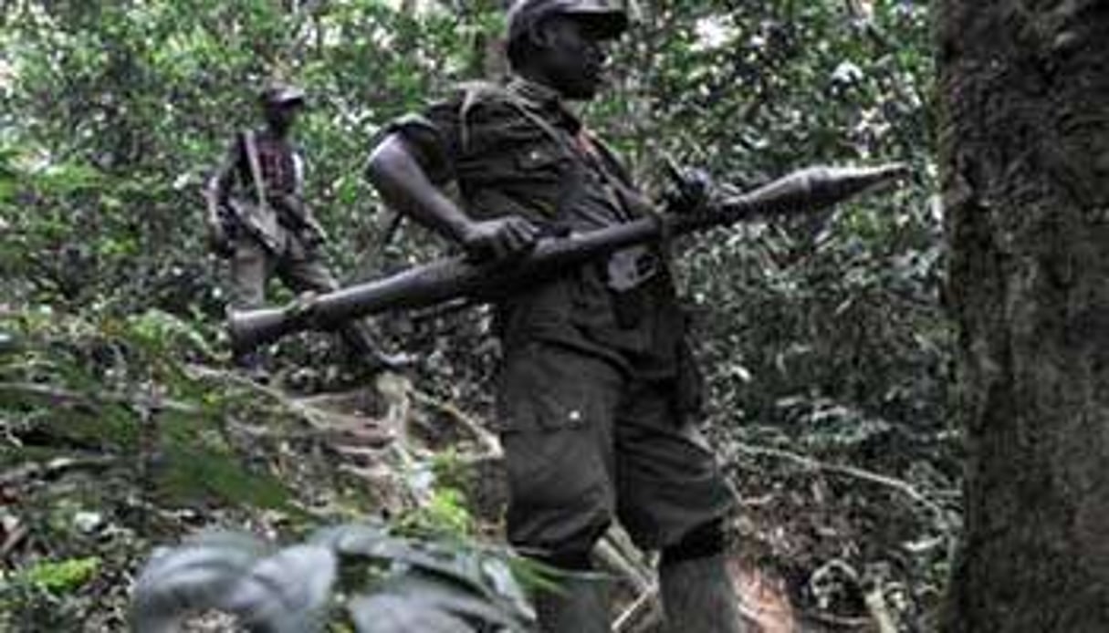 Le FDLR, groupe rebelle armé, agit dans l’est de la République Démocratique du Congo. © Lionel Healing/AFP