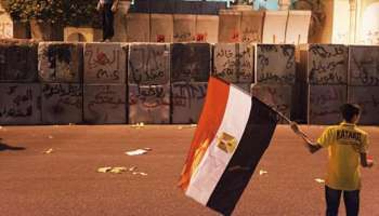 Un manifestant porte le drapeau égyptien devant le palais présidentiel, au Caire, le 29 juin 2013. © AFP