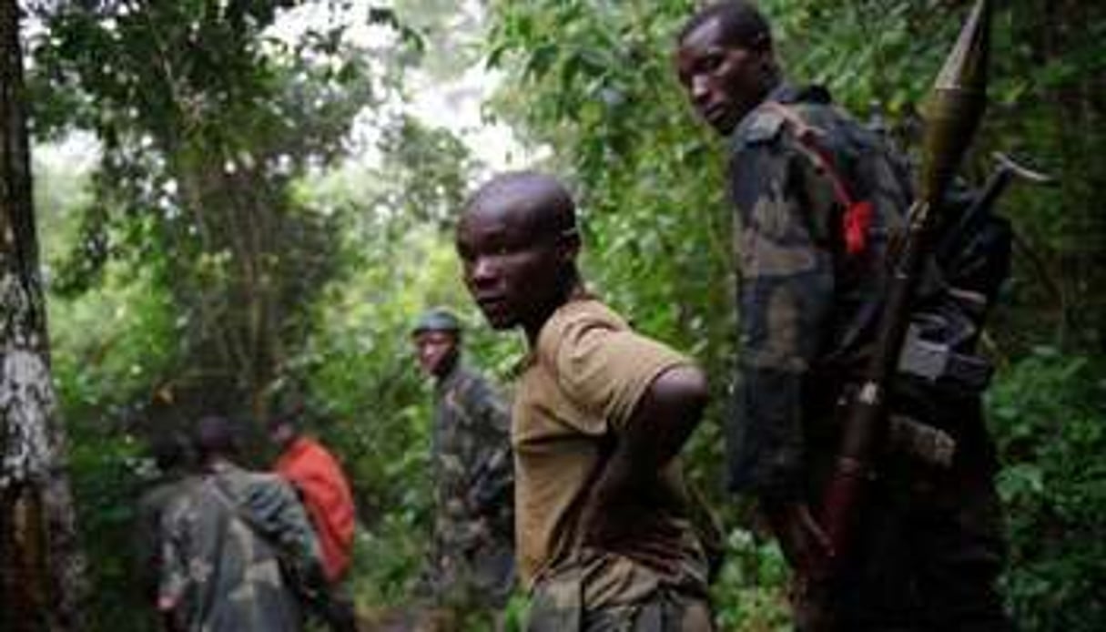 Les rebelles du M23 démentent avoir été repoussés de Mutaho, à 12 km de Goma. © AFP