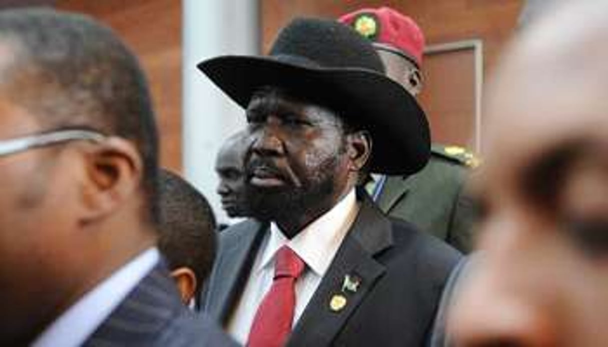 Soudan du Sud : le président suspend tout son exécutif © AFP