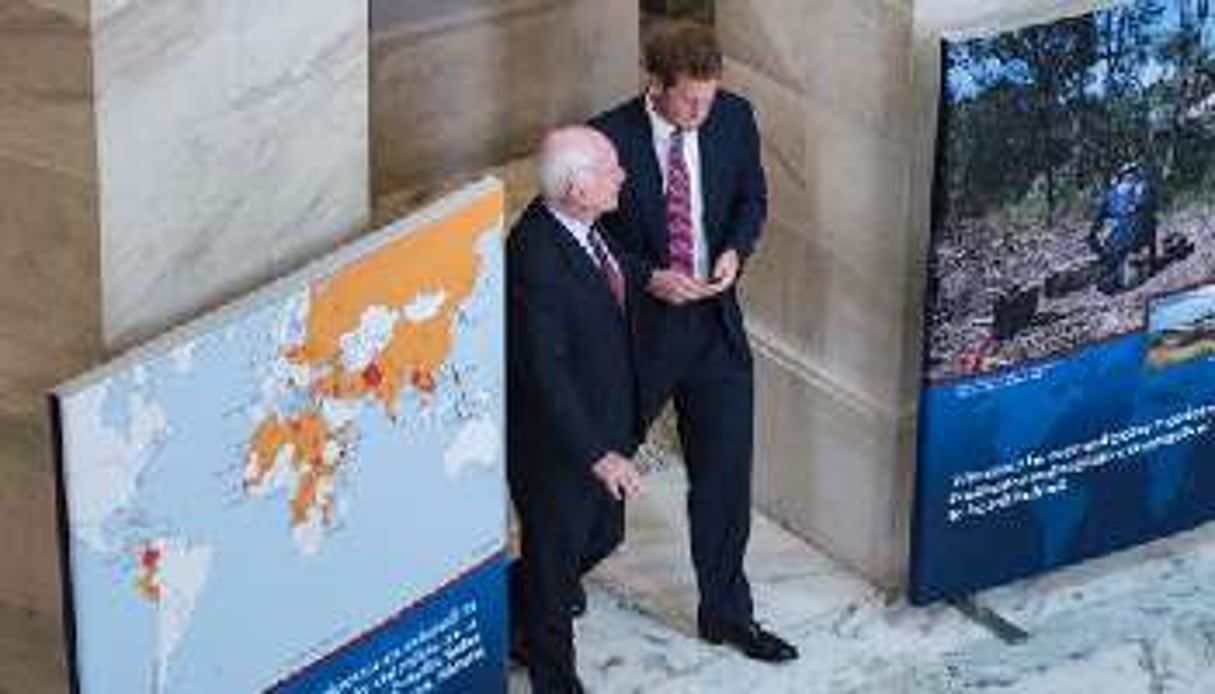 Le prince Harry en compagnie du sénateur américain John McCain, à Washington le 9 mai 2013. © AFP