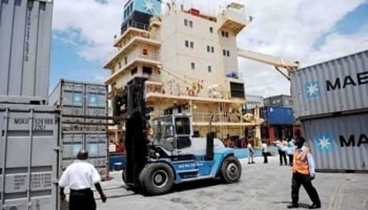 La concurrence entre les ports tanzanien et kényan devrait améliorer leur efficacité, réduire les coûts et permettre de meilleurs délais pour desservir l’ensemble de la région. © AFP