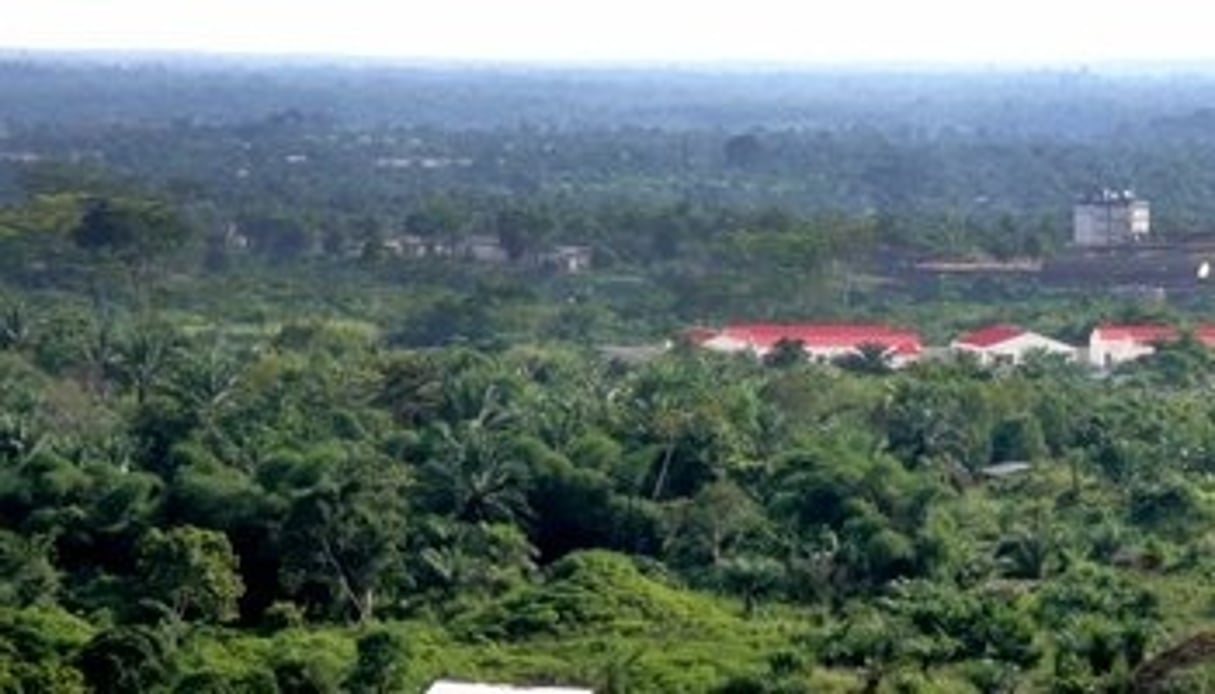 Avec deux tiers de son territoire recouverts de forêt tropicale, la RD Congo stocke jusqu’à 140 milliards de tonnes de CO2. © DR
