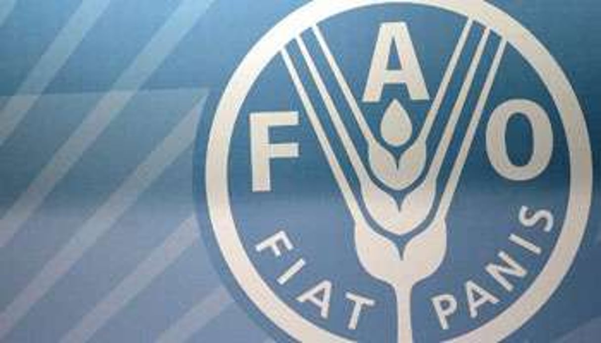 Le logo de la FAO. © AFP
