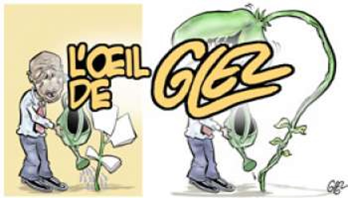 L’oeil de Glez. © Glez