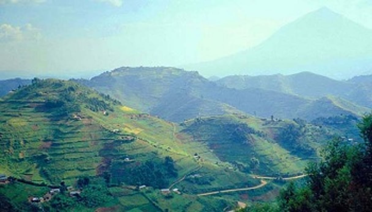 Les montagnes des Virunga, à la frontière entre la RD Congo, le Rwanda et l’Ouganda. DR