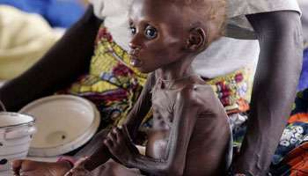 Cette année, 505 976 cas de malnutrition ont été traités par les structures publiques du Niger. © AFP/Issouf Sanogo