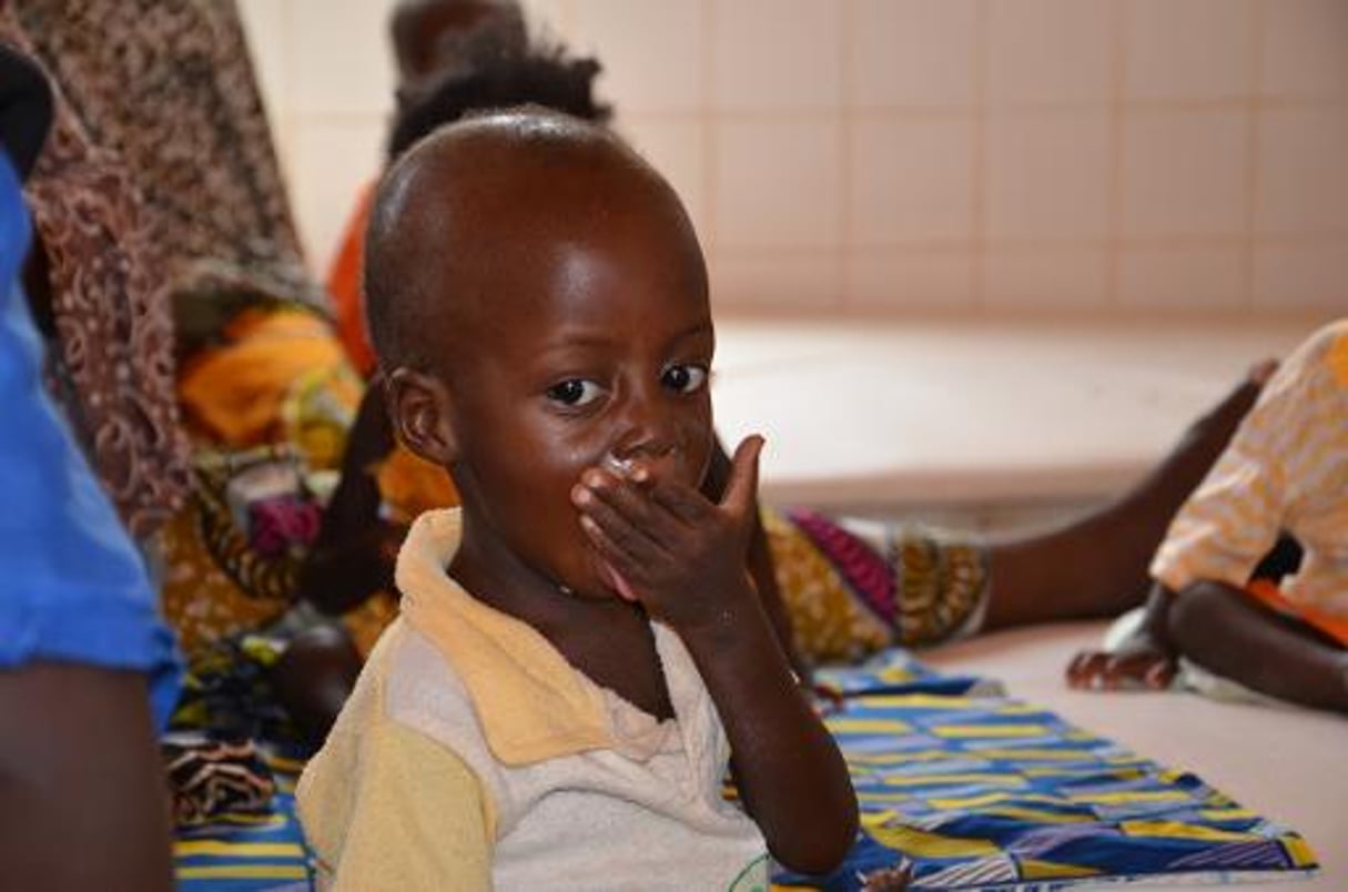 Niger: 2.500 enfants morts de malnutrition en 8 mois © AFP