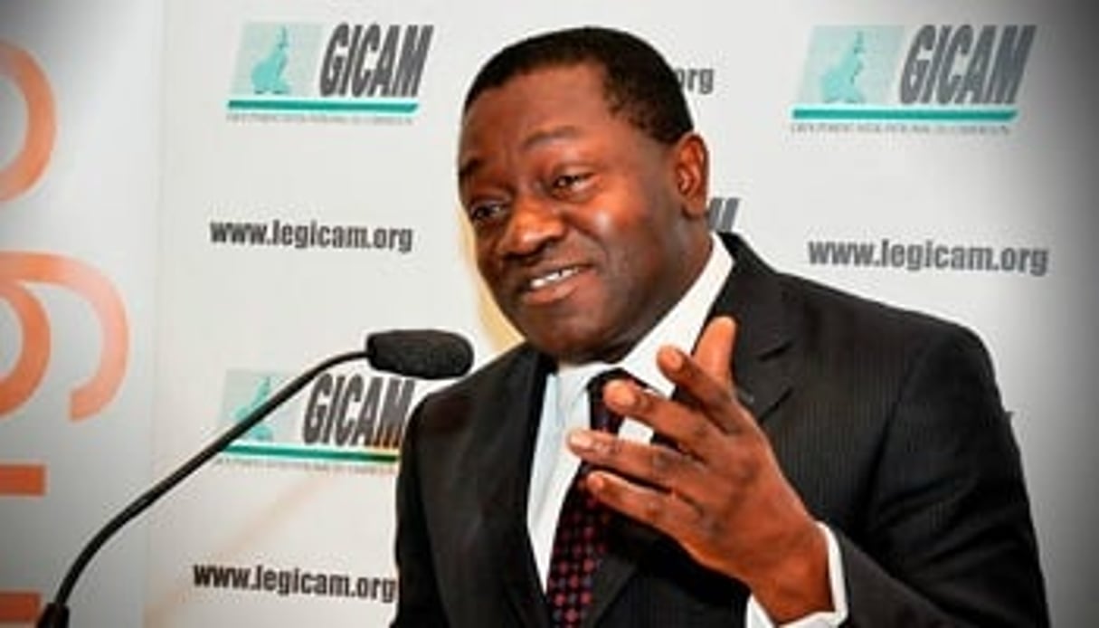 André Fotso (photo) est le président du Gicam. DR