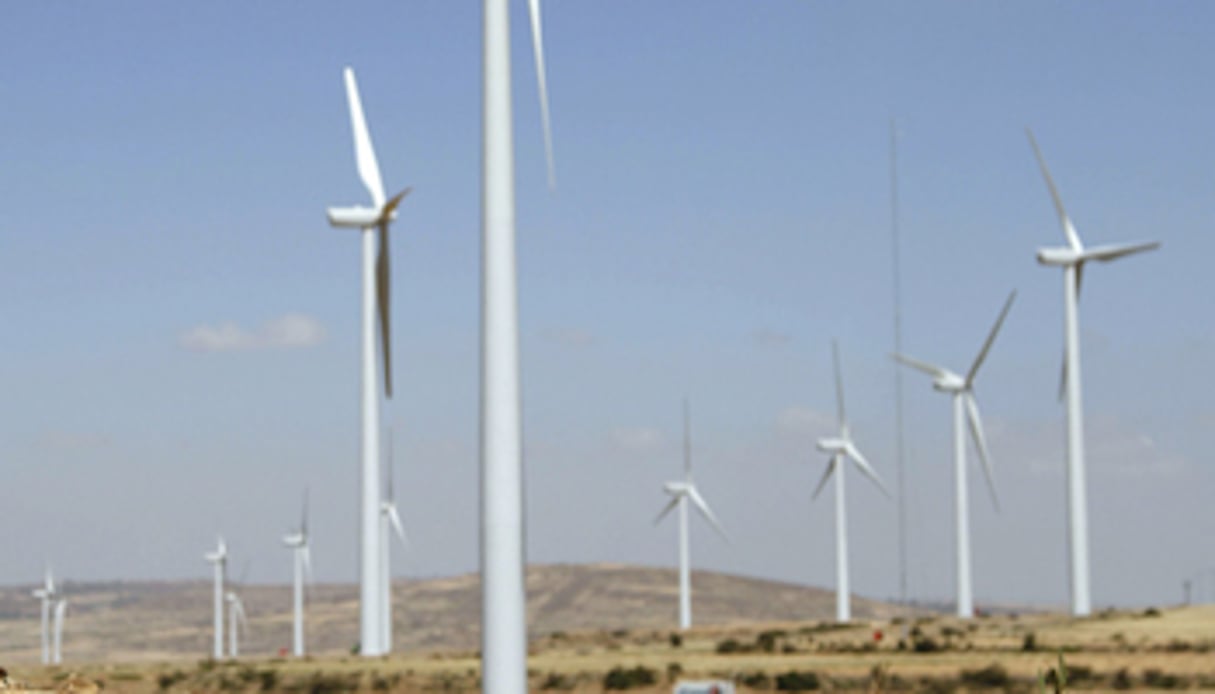 La ferme d’Ashegoda compte comptant 84 turbines installées sur 100 km2. © Reuters