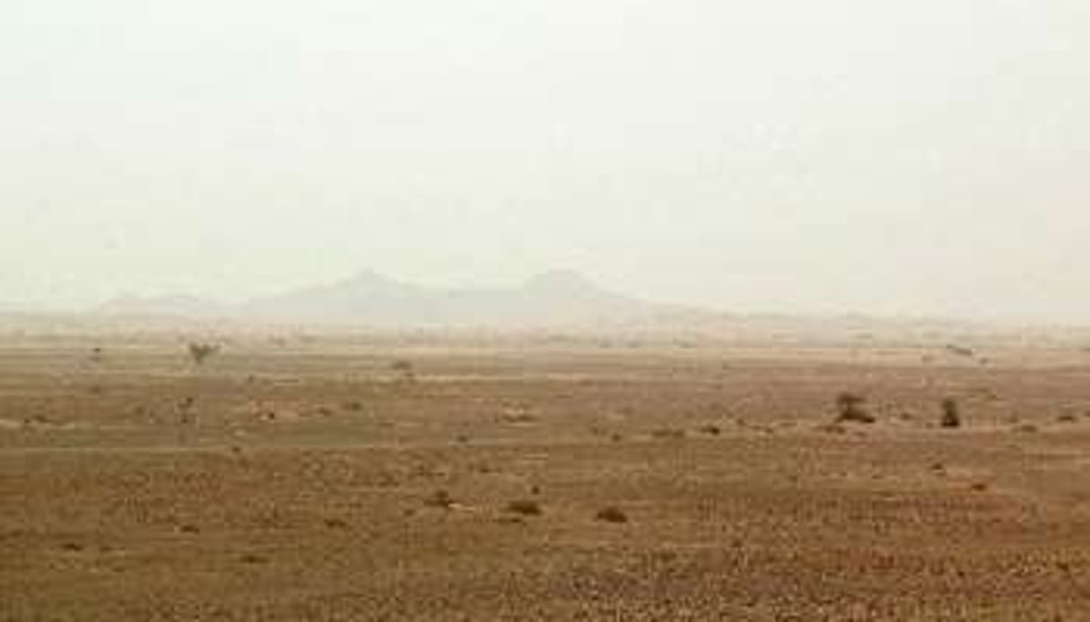 Le désert du Sahara se révèle infranchissable pour de nombreux migrants. © Hocine Zaourar/AFP
