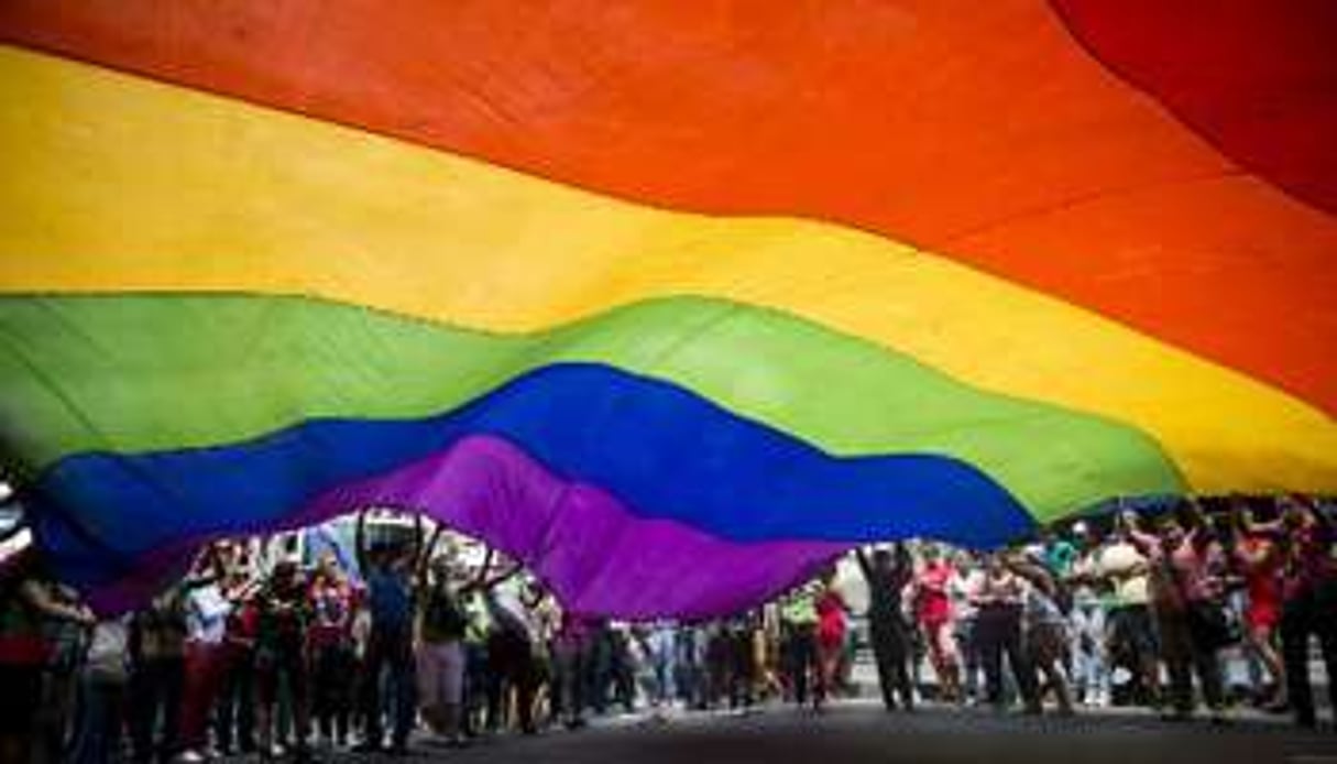 Des gens portent un drapeau arc-en-ciel lors de la Gay pride à Caracas, le 30 juin 2013. © AFP