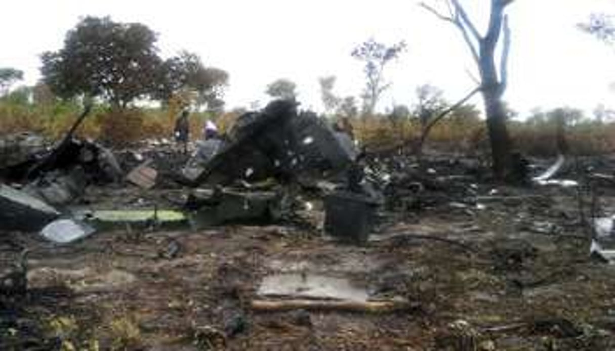 Les restes calcinés de l’avion de LAM qui s’est écrasé en Namibie, le 30 novembre 2013. © AFP