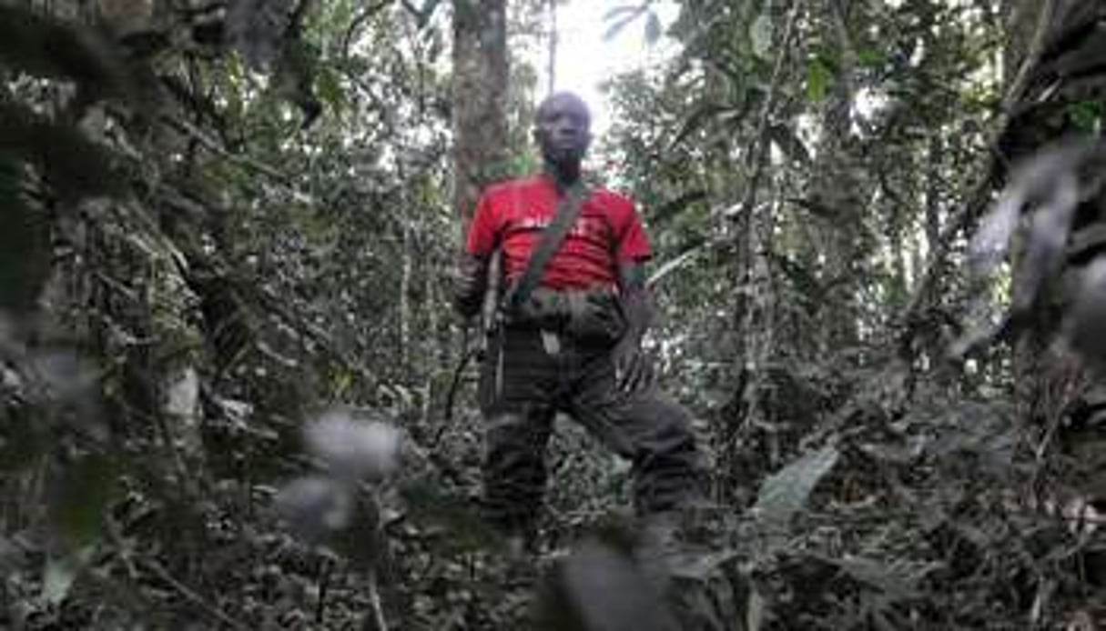 Un combattant FDLR dans la forêt du Kivu. © Lionel Healing/AFP.