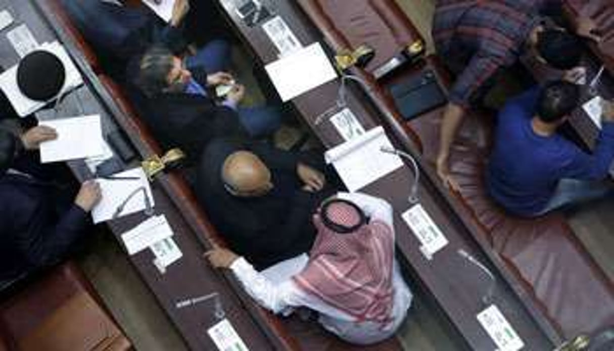 Ultimes débats avant l’approbation du texte, le 30 novembre, au Caire. © Amr Nabil/AP/Sipa