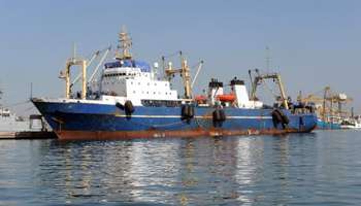 Le navire russe « Oleg Naydenov » est amarré dans le port de Dakar, le 5 janvier 2014. © AFP