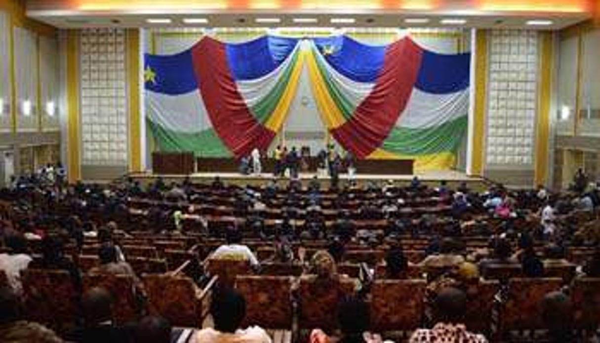 Les membres du Conseil national de transition (CNT), le 14 janvier à Bangui. © AFP