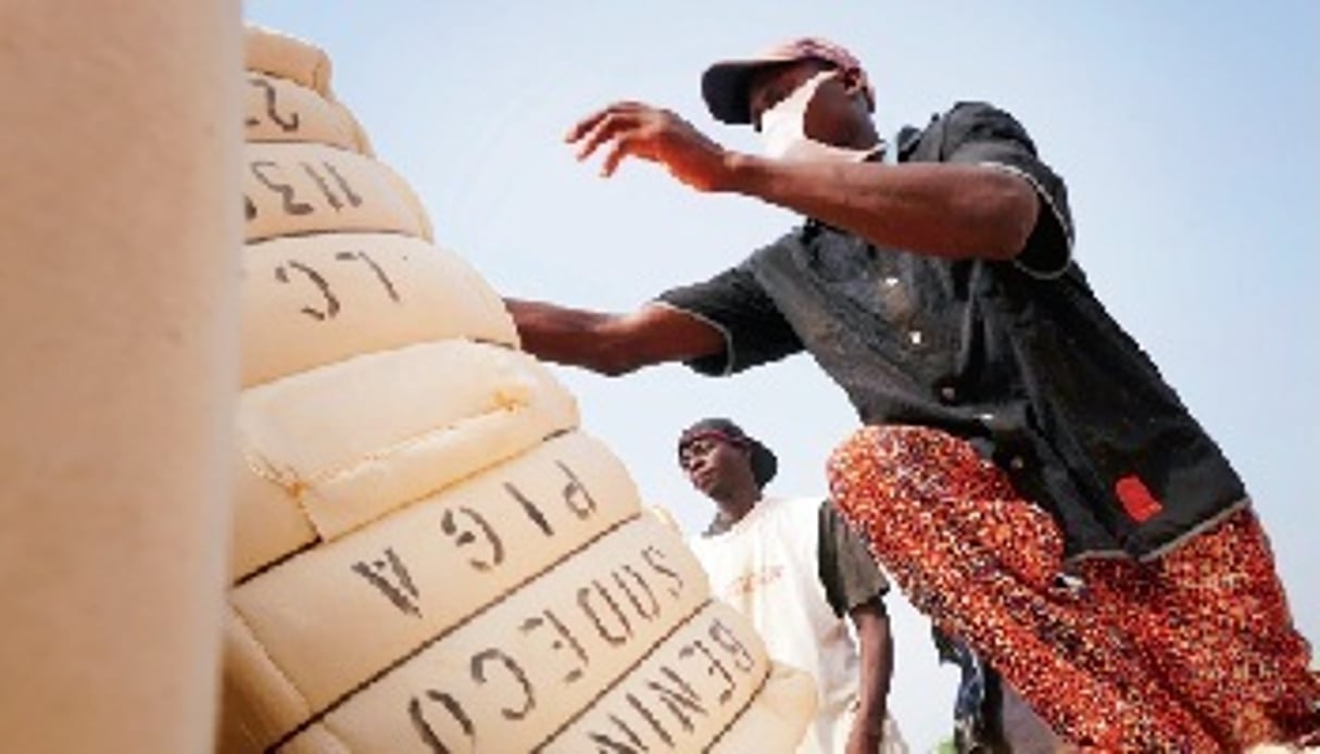 Le coton assure 40% des entrées de devises du Bénin, et 90% de ses exportations agricoles. © Yannick Tylle/Corbis