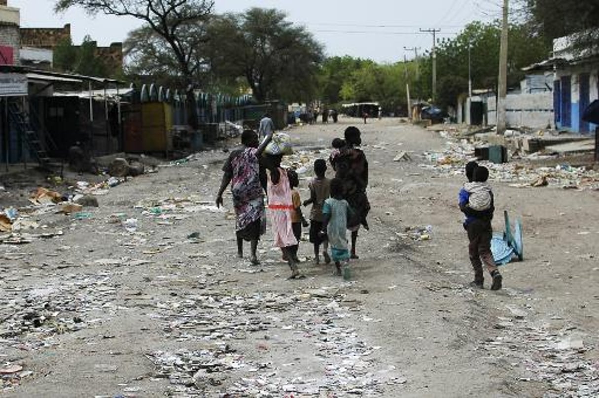 Soudan du Sud: l’ONU évoque des exactions par des rebelles à Malakal © AFP