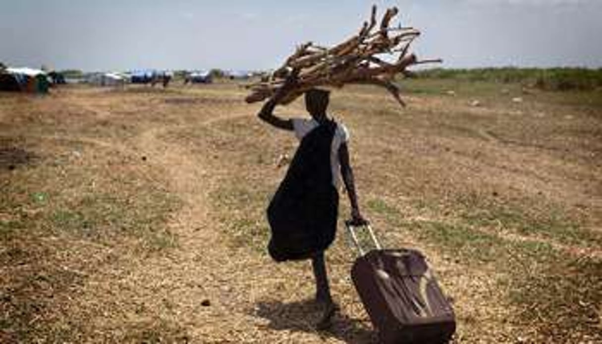 Une femme sud-soudanaise ramène du bois mort dans un camp de réfugiés. © AFP