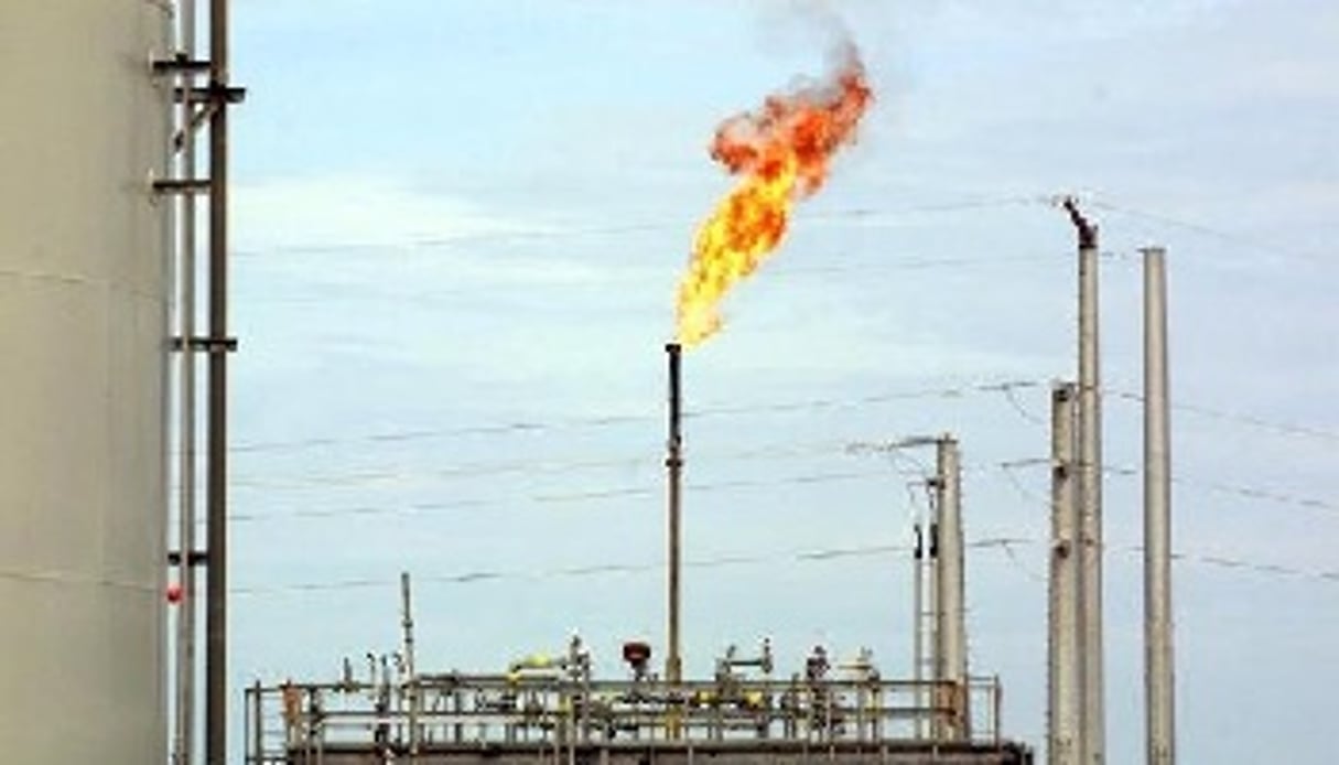 Puits de pétrole au Tchad. © AFP
