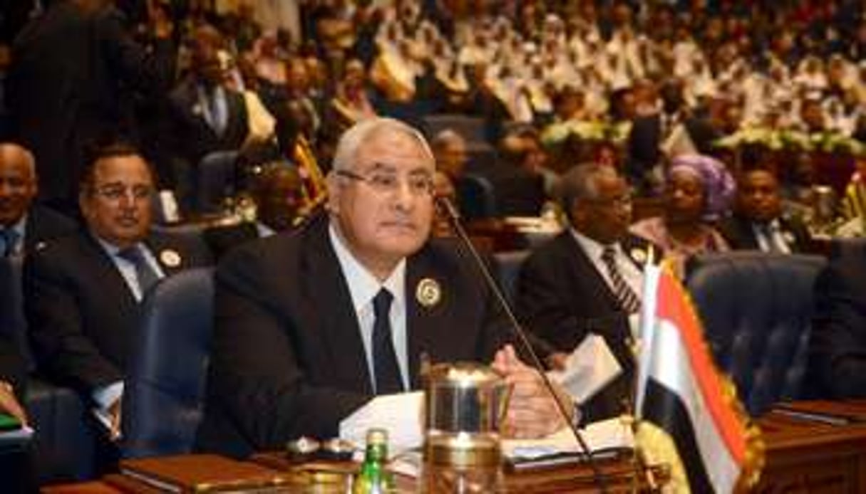 Adly Mansour, le président égyptien par intérim, le 17 novembre 2013 à Koweit City. © AFP