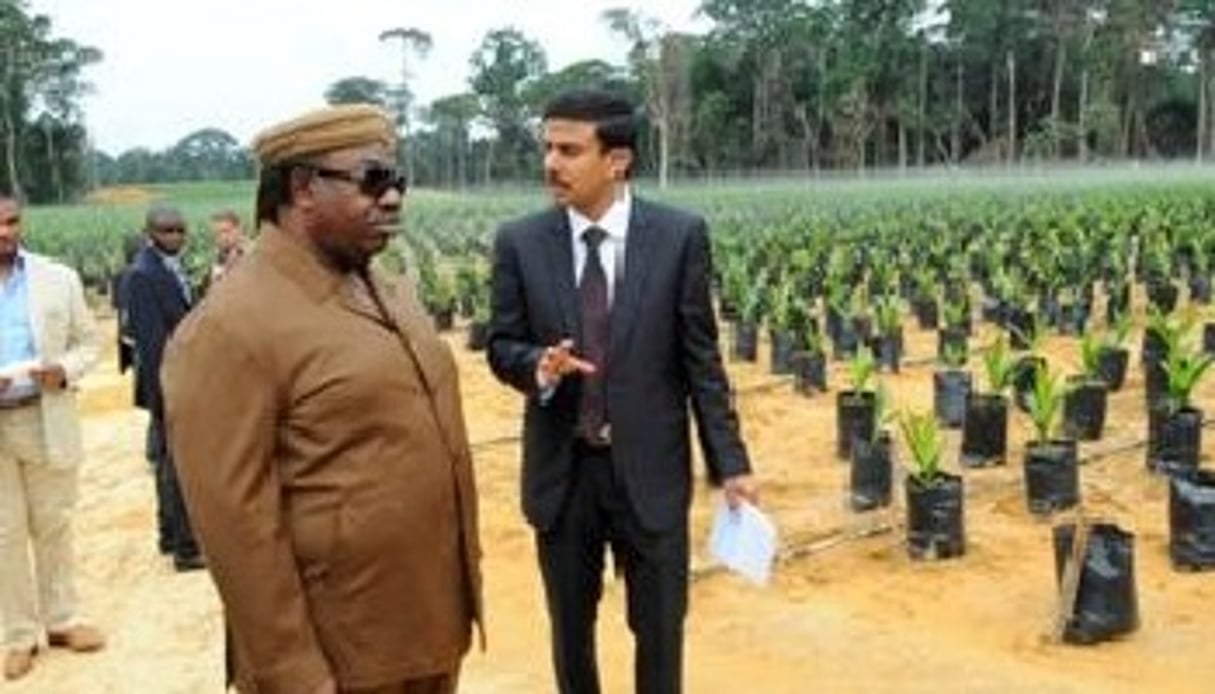 Olam cherche à se désengager partiellement du capital de son projet Gabon Fertilizer Company. DR