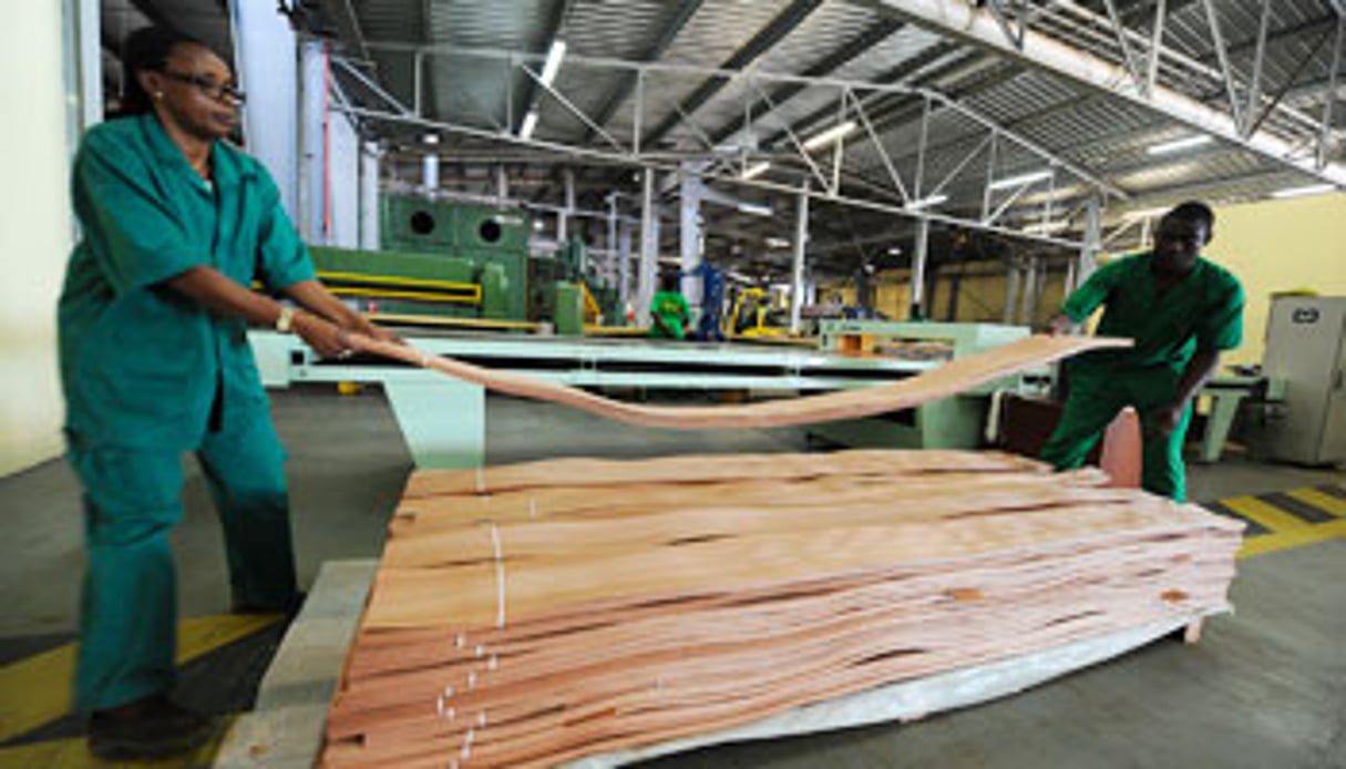 Des employés de la Société nationale des bois du Gabon, à Owendo. © Steve Jordan/AFP Photo