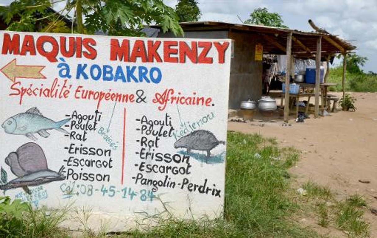 En Côte d’Ivoire, l’agouti, interdit aux gourmets pour cause d’Ebola © AFP