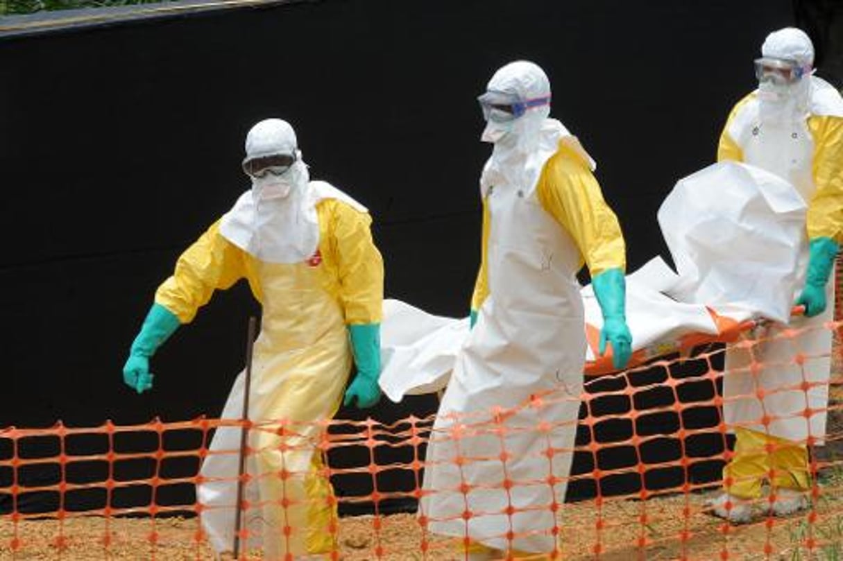 Ebola en Afrique de l’Ouest, un effrayant virus tueur venu de loin © AFP