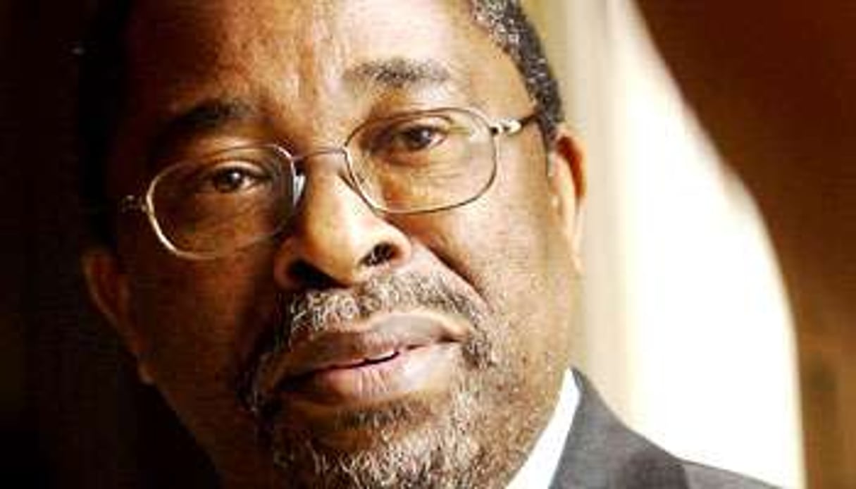 Moeletsi Mbeki est vice président de l’Institut sud-africain des affaires internationales. © Rex/Sipa