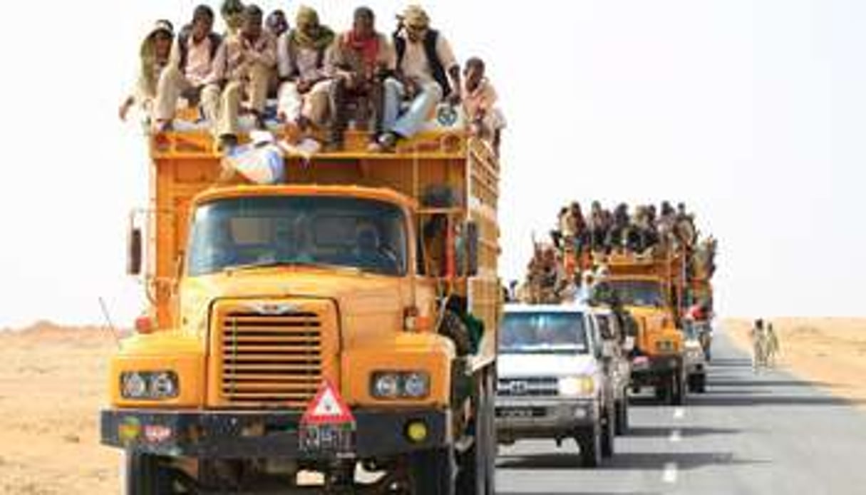 Un convoi de véhicules transportant des migrants illégaux qui avaient été abandonnés. © AFP