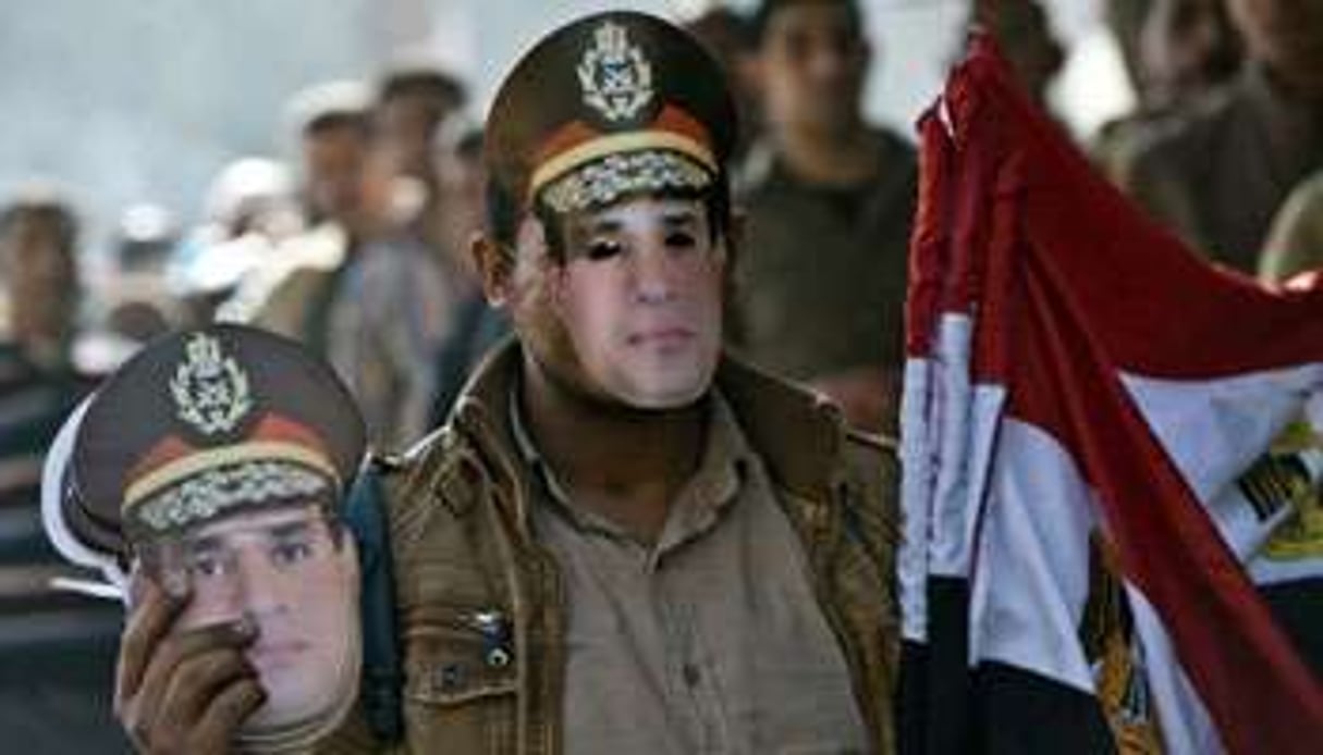 Soutien à Abdel Fattah al Sissi, en janvier 2014. © KHALED DESOUKI / AFP
