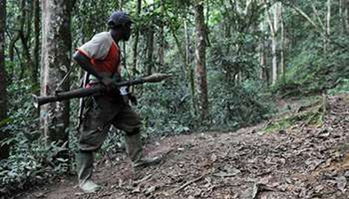 Un rebelle rwandais des FDLR dans une forêt de Pinga, en RDC, le 6 février 2009. © AFP