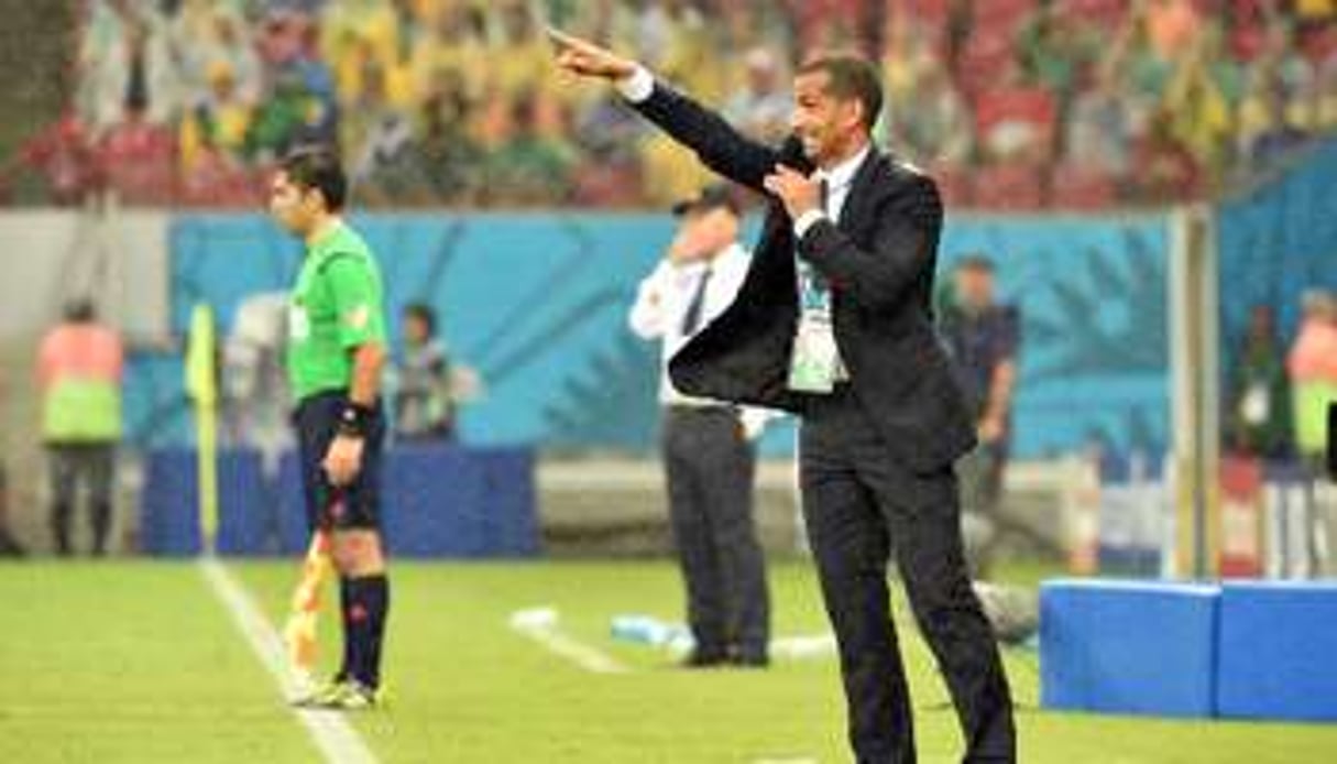 Sabri Lamouchi lors du match du Mondial contre le Japon, le 14 juin 2014 à Recife. © AFP