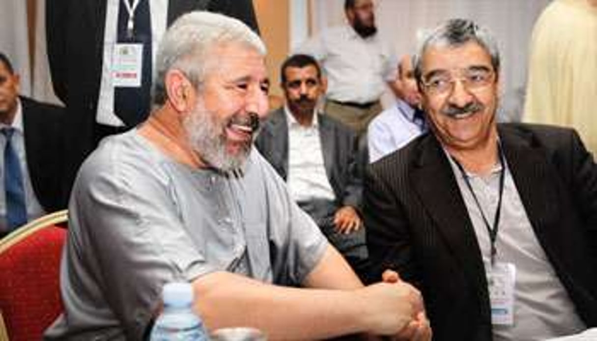 Ali Djeddi (à g.) avec le laïc Saïd Sadi, le 10 juin, à Zéralda. © DR