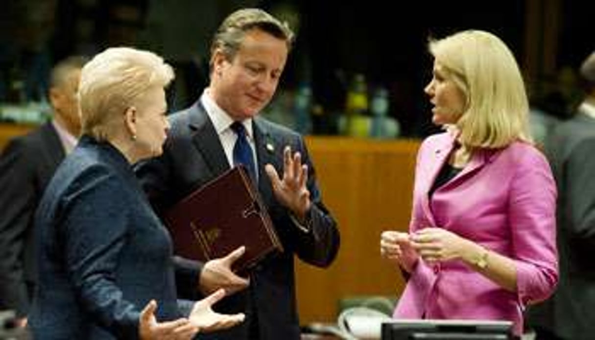 David Cameron avec la présidente lituanienne (à dr.), et la Première ministre danoise. © ALAIN JOCARD/afp