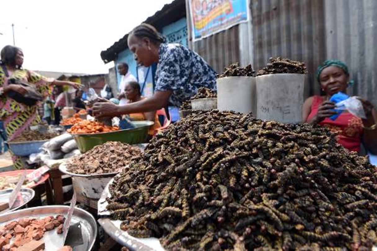 A Kinshasa, on croque chenilles ou larves pour le plaisir et les protéines © AFP