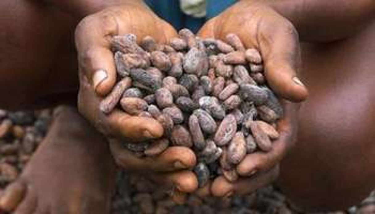 La Côte d’Ivoire est le premier producteur mondial de cacao. © AFP