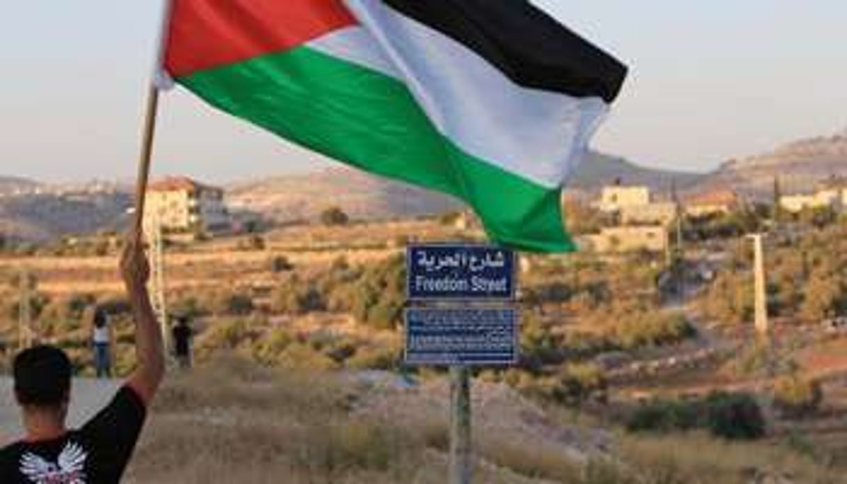 Un Palestinien brandit le drapeau national le 31 juillet 2014 à Billin dans la Bande de Gaza. © Abbas Momani/AFP