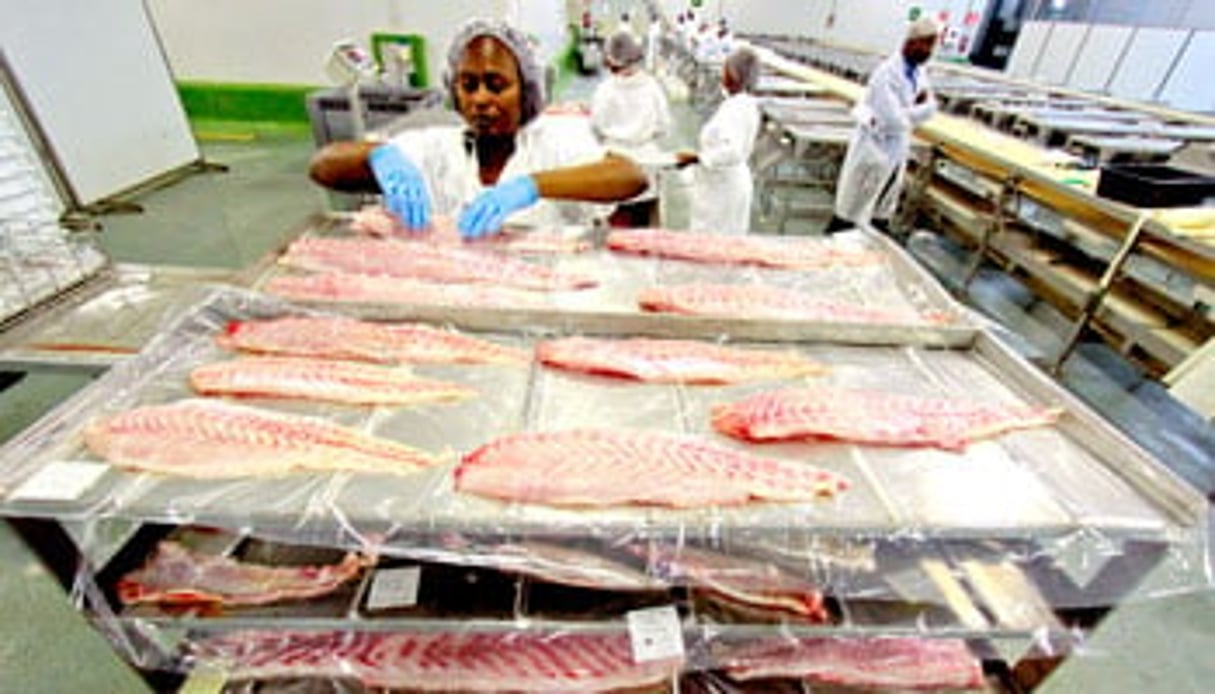 Le mauricien Ireland Blyth s’est associé au FGIS pour fonder Gabon Seafood. © Baudoin Mouanda pour J.A.