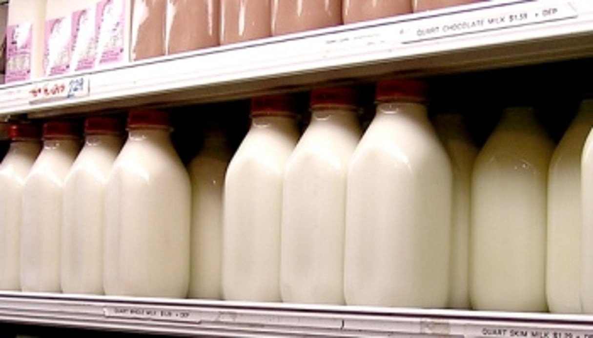 Sur le continent, la majorité du lait consommé est importé. © Liz West/Flickr