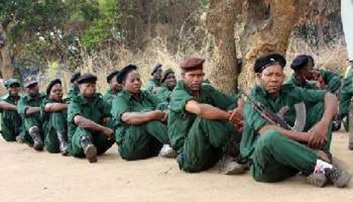 Des combattants de la Remano dans les montagnes de Gorongosa en 2012. © AFP