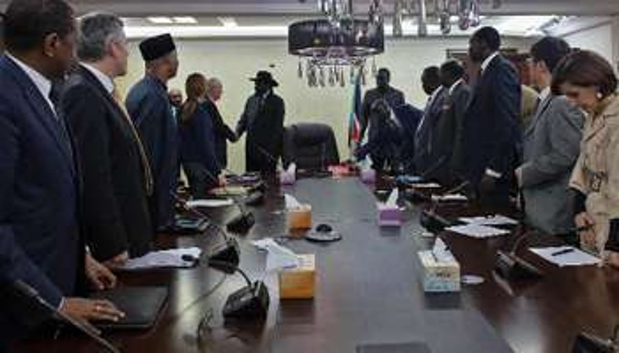 Des membres du Conseil de sécurité des Nations unies rencontrent le président du Soudan du Sud. © AFP